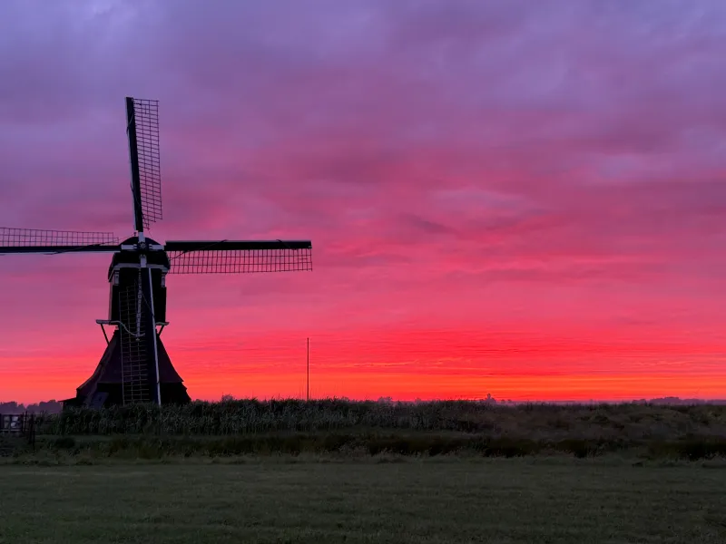 Dauwtrappen Cabauw 2